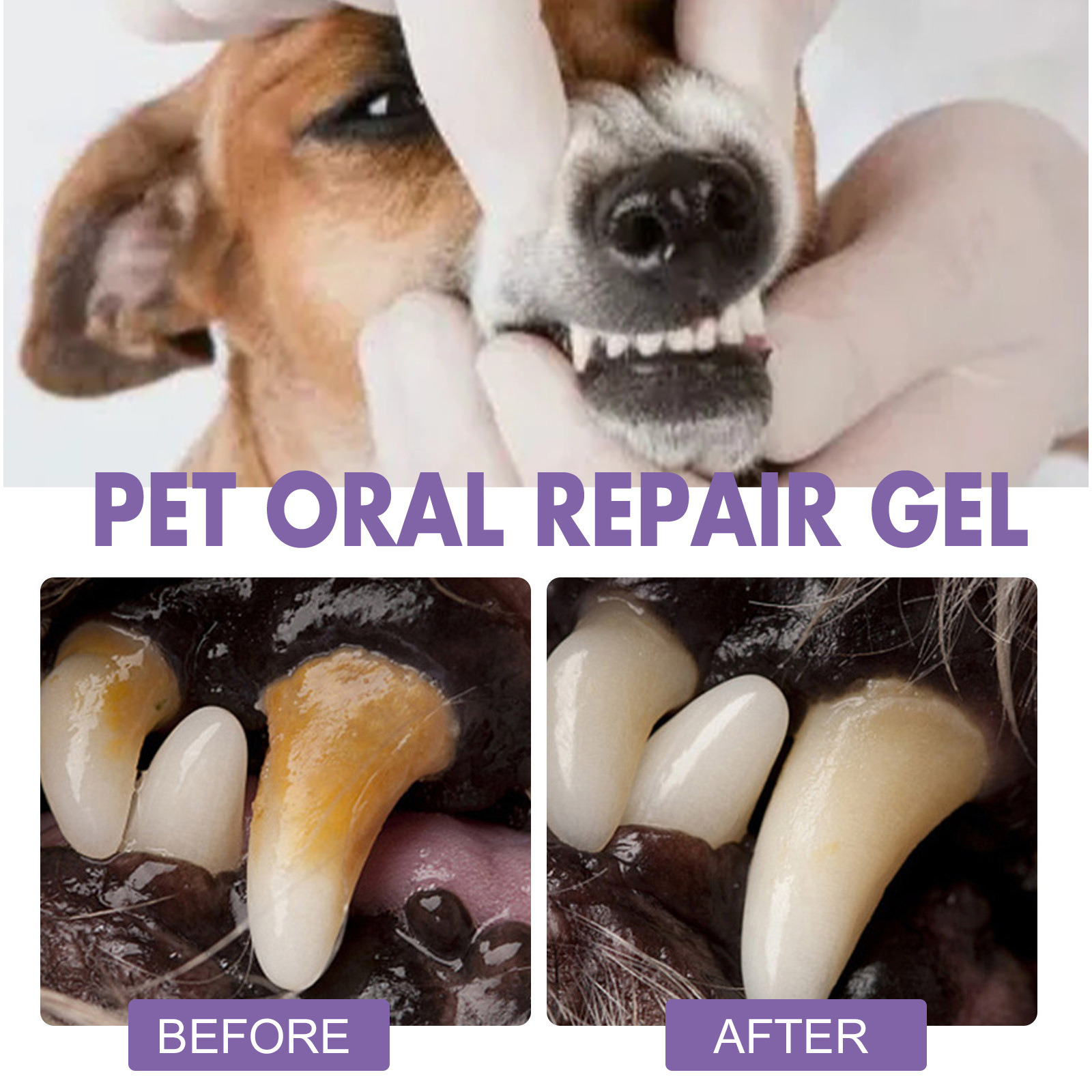 Huisdier Orale Reparatie Gel P - Teeth Whitening Price recensie en prijs